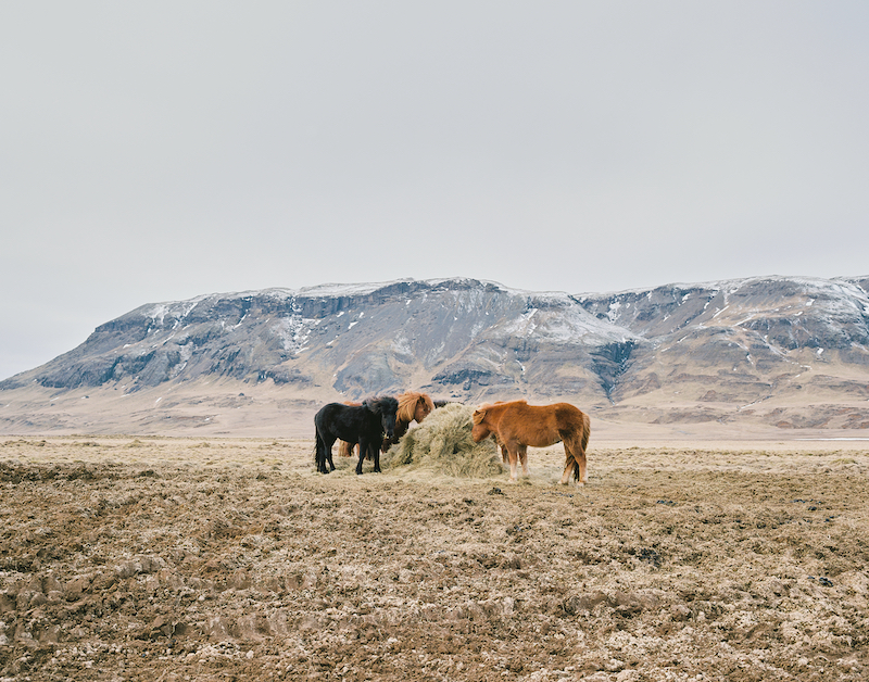 Carry-On for a Weeklong Hike